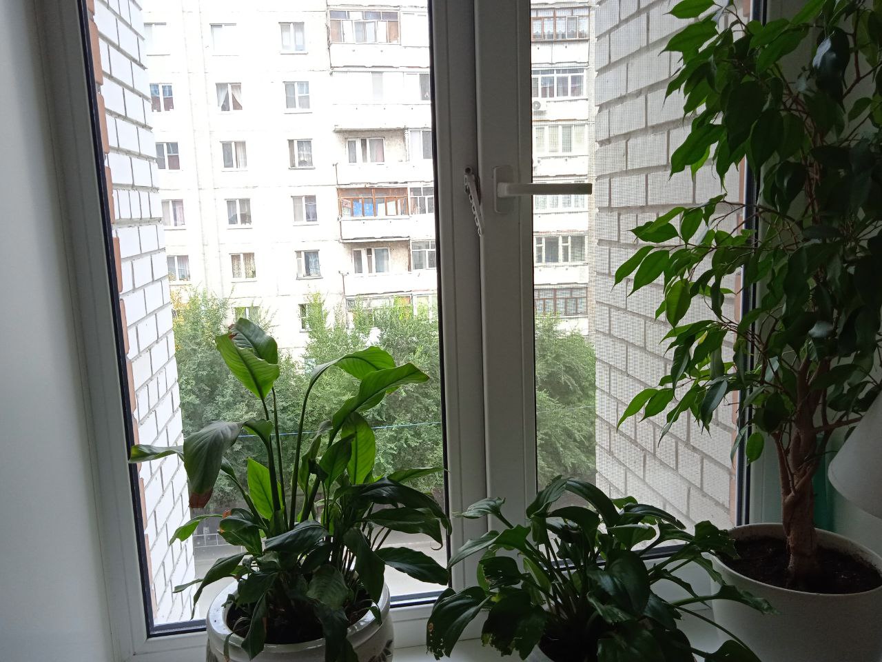 https://novorossijsk.delaem-okna.ru/storage/app/uploads/public/63f/332/8c0/63f3328c0d6f7867060515.jpg